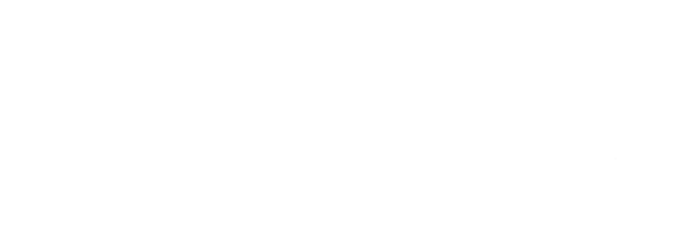 logo negativo polvotek